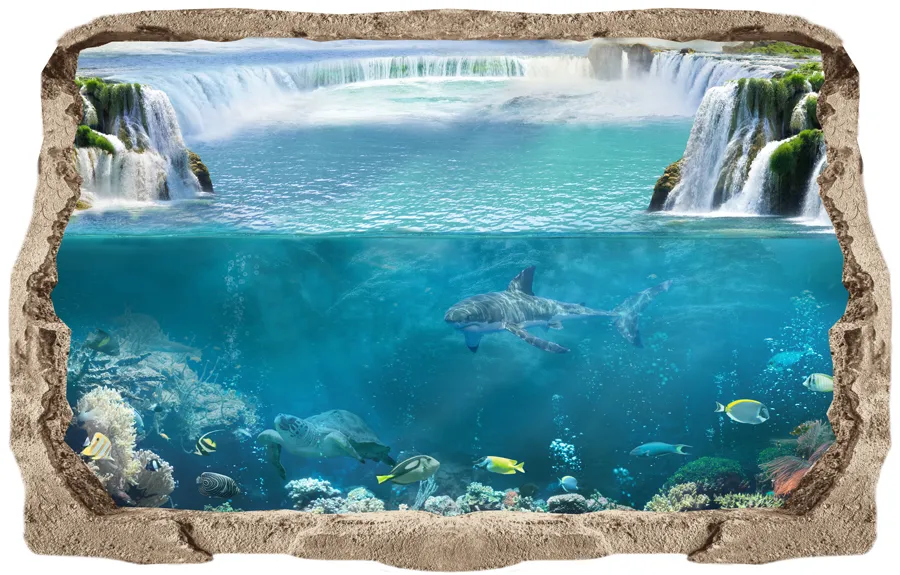 מדבקת קיר | חור בקיר כריש מתחת למים