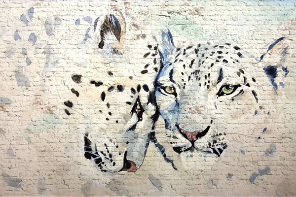 מדבקת טפט | גרפיטי נמרי שלג