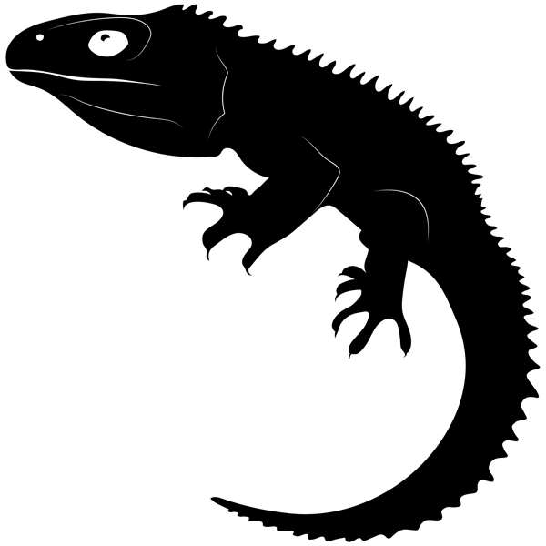 מדבקת קיר | לטאה מכניבה