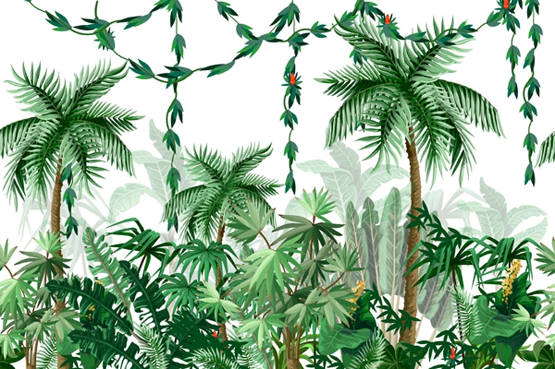 מדבקת טפט | ג'ונגל ירוק