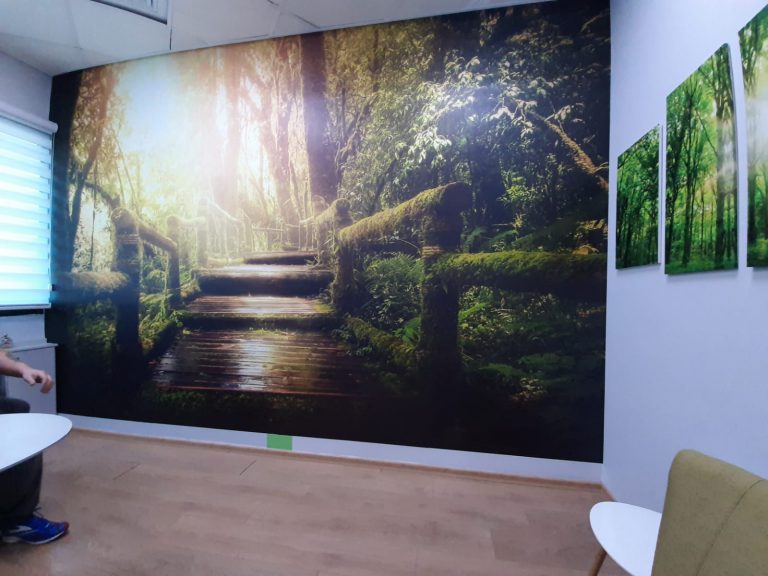 גשר ביער קסום