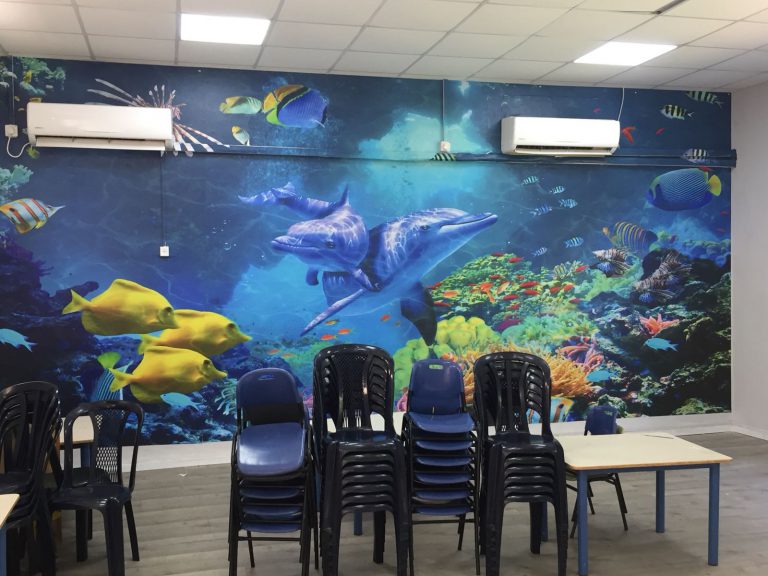 דולפינים בים