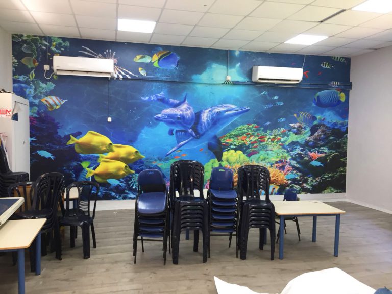 דולפינים בים