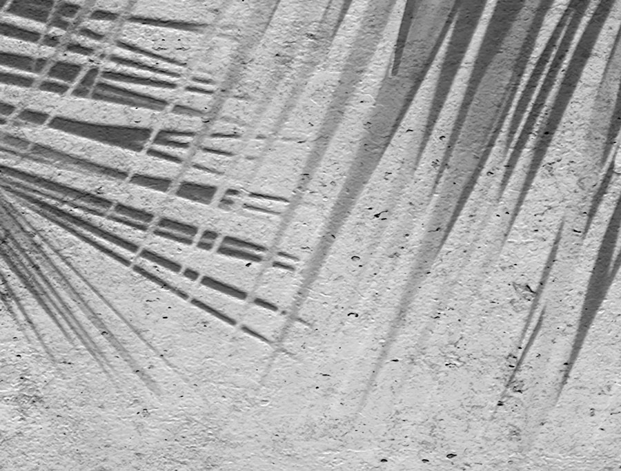 טפט - בטון מעוצב ועלי שקדים