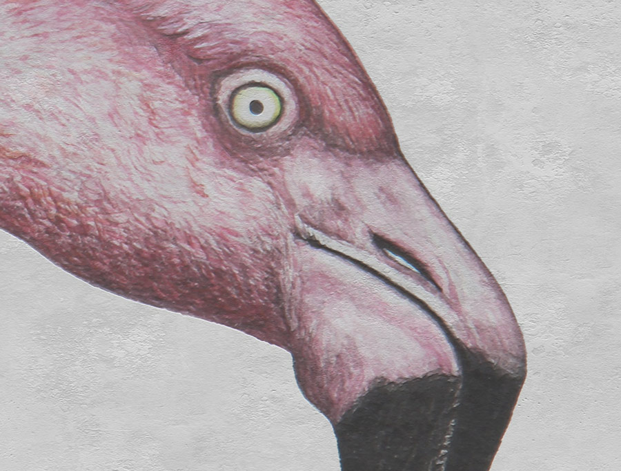טפט - פלמינגו בטון מעוצב