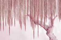 טפט - עץ מאוייר יפיפה בגווני אדום