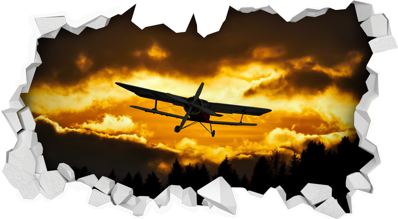 מדבקה - חור בקיר מטוב בשמים צהובים