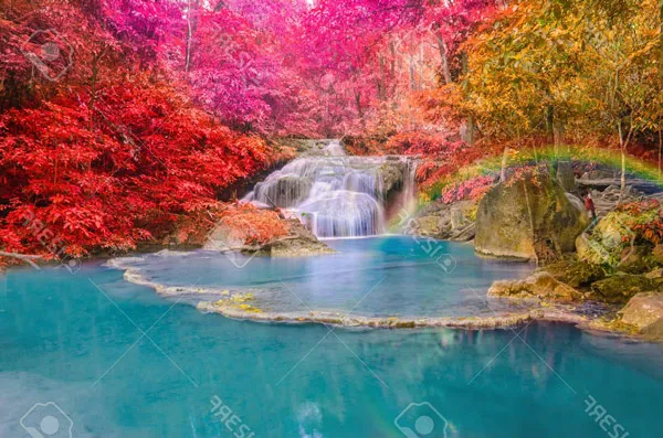 טפט - אגם ביער צבעוני