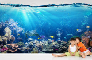 מדבקת טפט - קרקעית הים