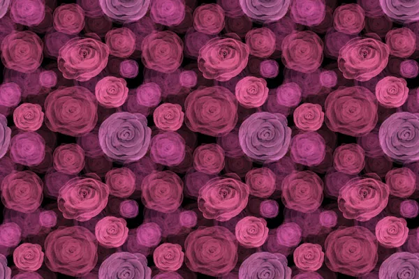 טפט - פרחים ורודים על רקע שחור