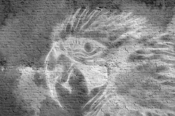 טפט - גרפיטי תוכי שחור לבן