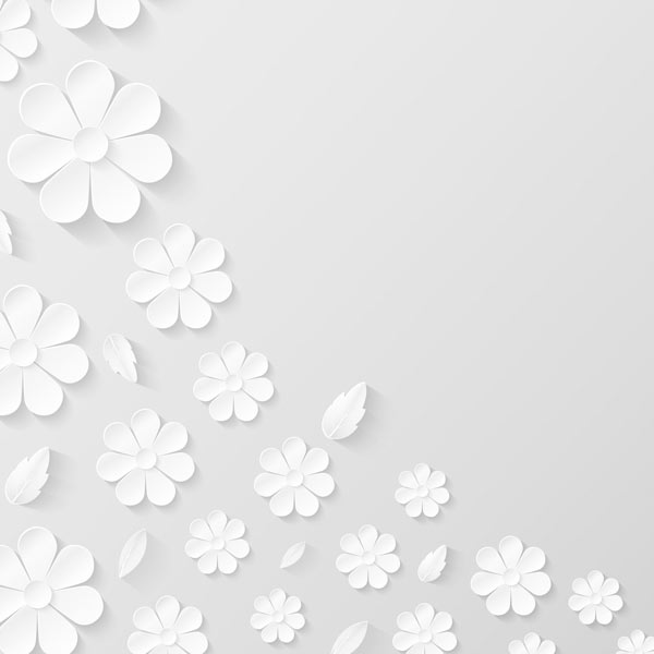 טפט - פרחים לבנים