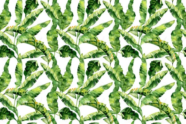 מדבקת טפט - עלים ירוקים