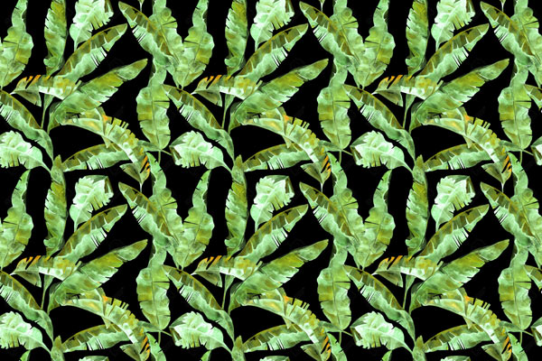 מדבקת טפט - עלים ירוקים על רקע שחור