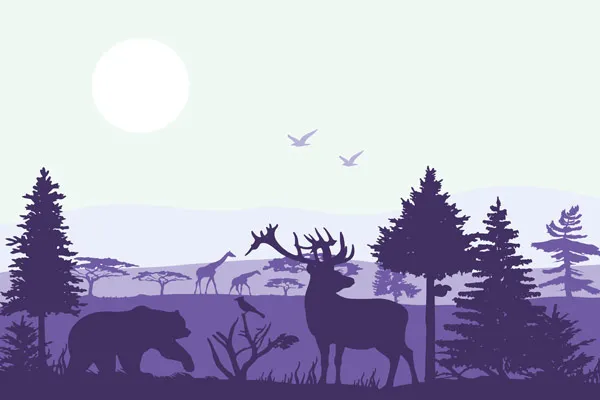 טפט | חיות היער בצבעי סגול