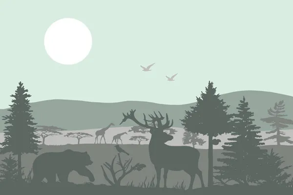 טפט | חיות היער באפור ירוק