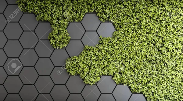 טפט | תלתנים ומשושים תלת מימד