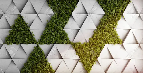 טפט | תלתנים ומשולשים בזריחה