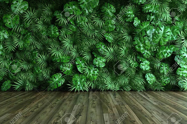 טפט | ג'ונגל ירוק ורצפת פרקט