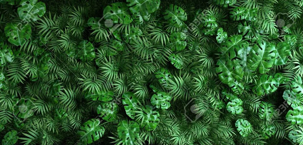 טפט | ג'ונגל ירוק