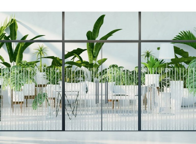 מדבקה חלבית | עצים גבוהים