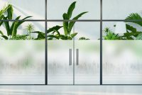 מדבקה חלבית | עיר