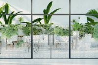 מדבקה חלבית | פתיתים