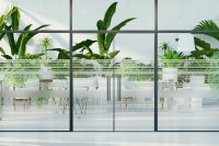 מדבקה חלבית | פסים מרווחים משתנים