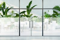 מדבקה חלבית | תריס חלבי