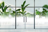 מדבקה חלבית | גראדיאנט מהאמצע 20 ס"מ