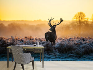 מדבקת טפט | אייל מסתכל לאופק