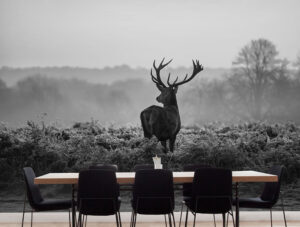מדבקת טפט | אייל מסתכל לאופק גווני אפור