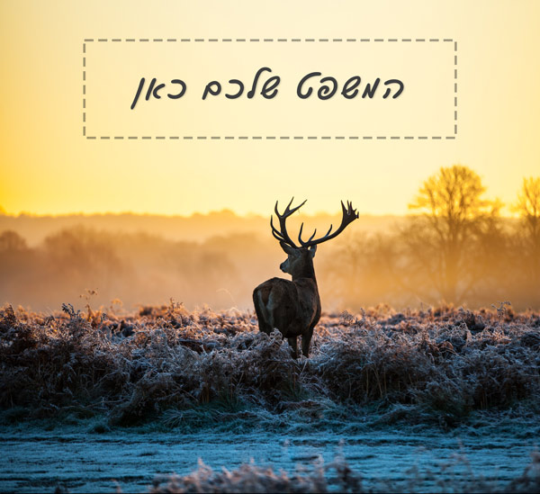 מדבקת טפט | אייל ומשפט השראה אישי שלכם