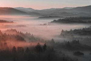 מדבקת טפט | ערפל ורוד והרים