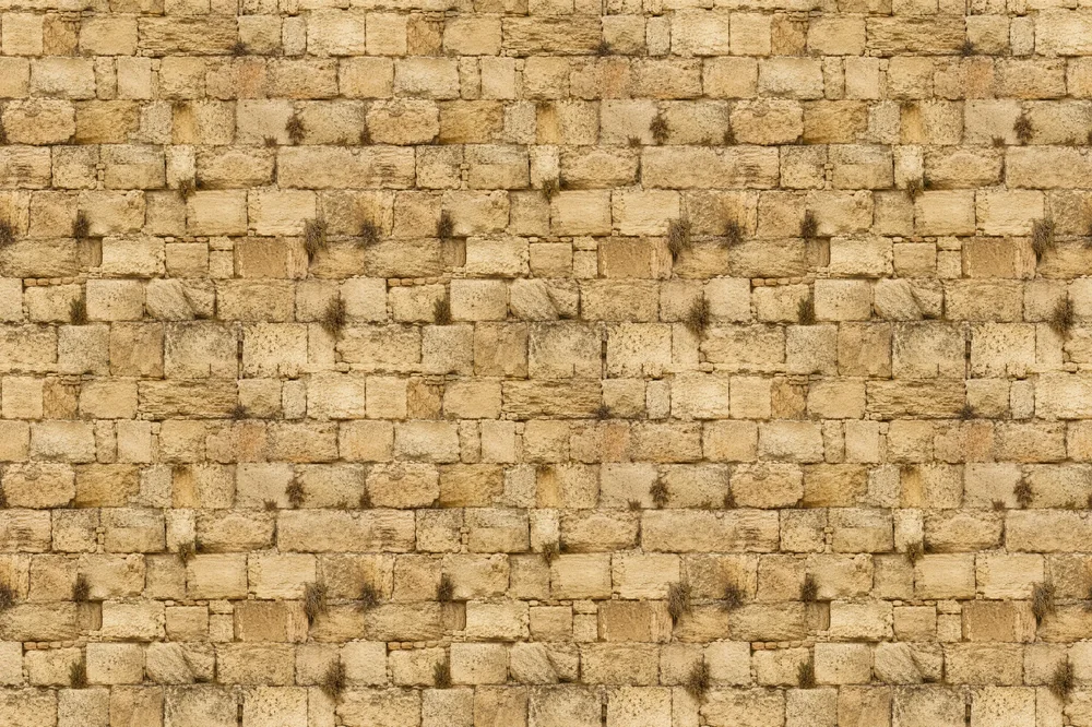 קיר לבנים מאבן בגווני בז' וחום בהיר, בעל מרקם עשיר