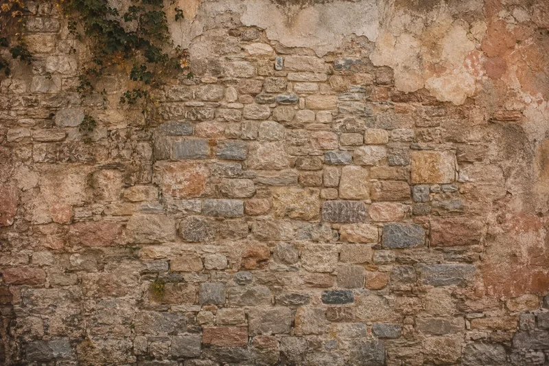 קיר אבן בגווני בז', אפור וחום אדמדם עם קיסוס בפינה העליונה
